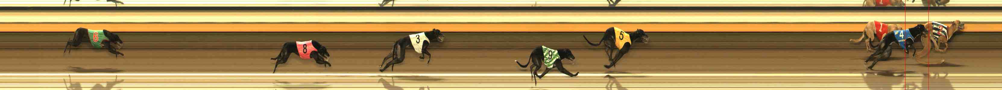 Photo finish for Warrnambool Race 4