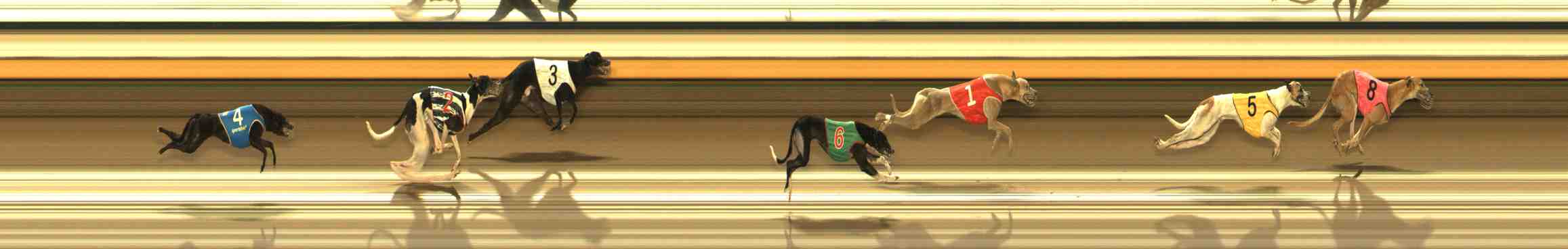Photo finish for Warrnambool Race 5
