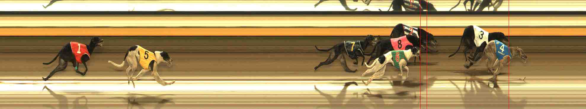 Photo finish for Warrnambool Race 6