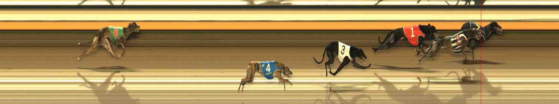 Photo finish for Warrnambool Race 7