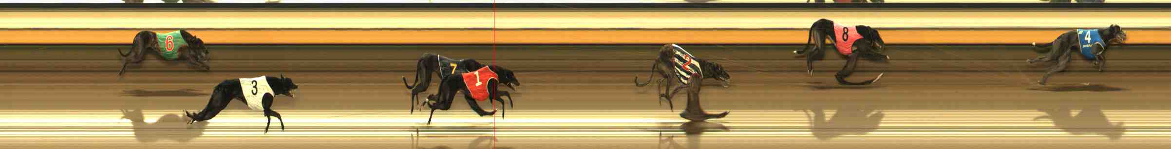 Photo finish for Warrnambool Race 8