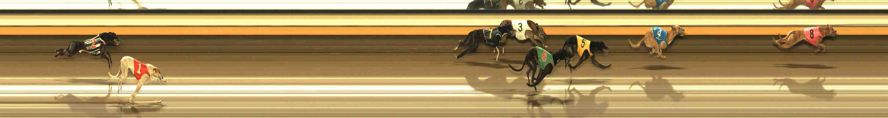 Photo finish for Warrnambool Race 9