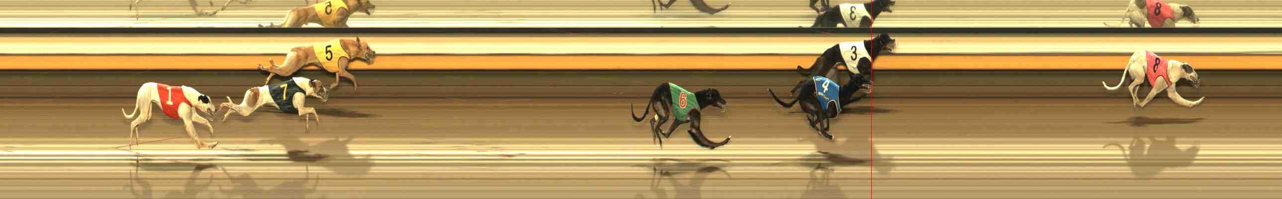 Photo finish for Warrnambool Race 10
