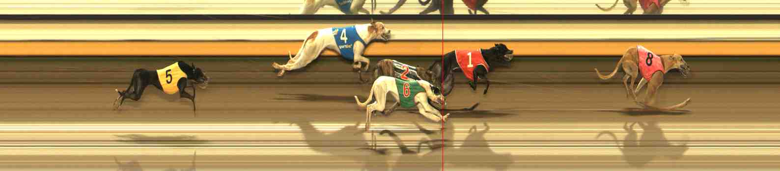 Photo finish for Warrnambool Race 11