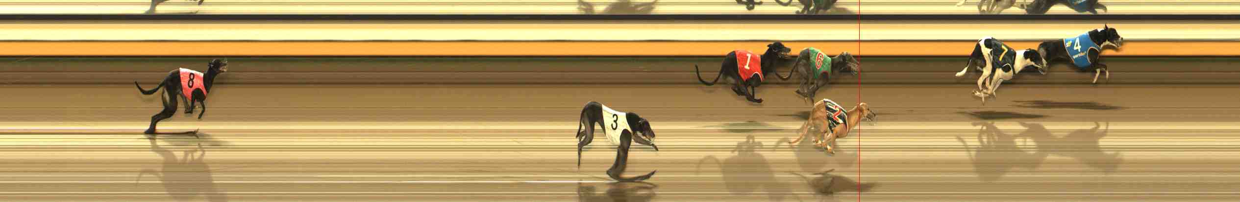 Photo finish for Warrnambool Race 12