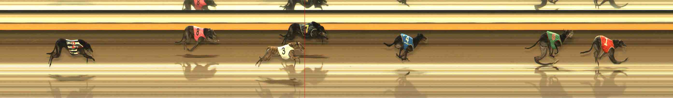 Photo finish for Warrnambool Race 13