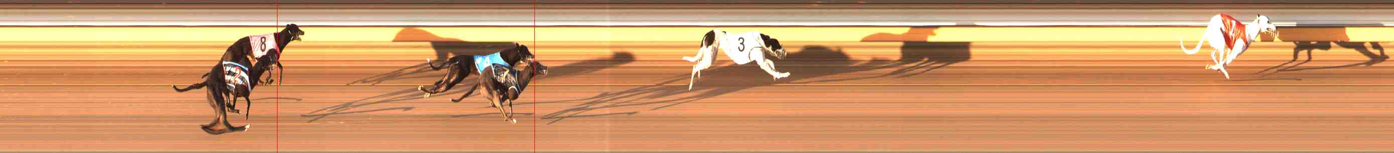 Photo finish for Warrnambool Race 1