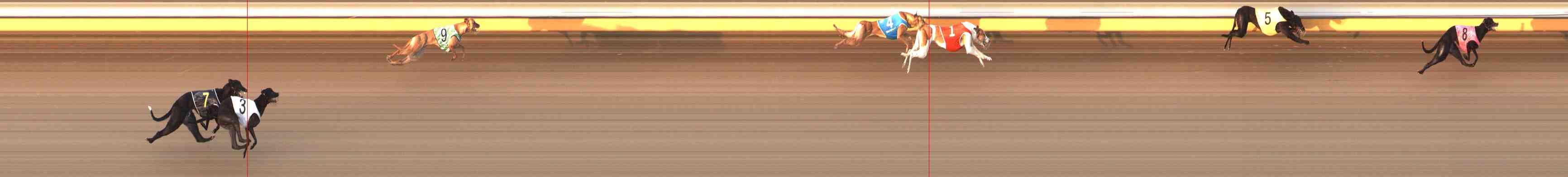 Photo finish for Warrnambool Race 2