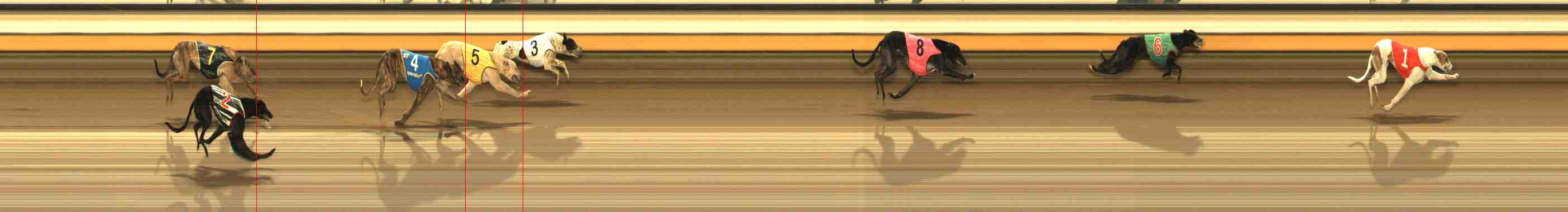 Photo finish for Warrnambool Race 3
