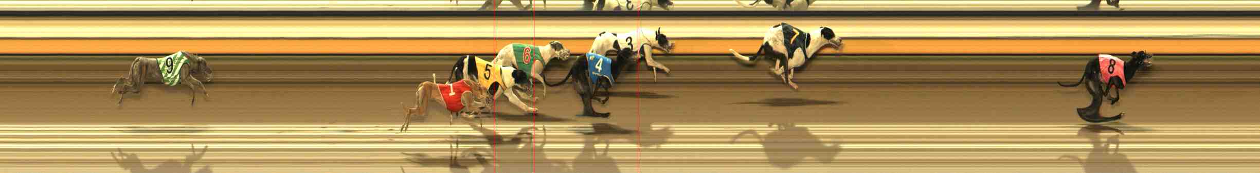 Photo finish for Warrnambool Race 4