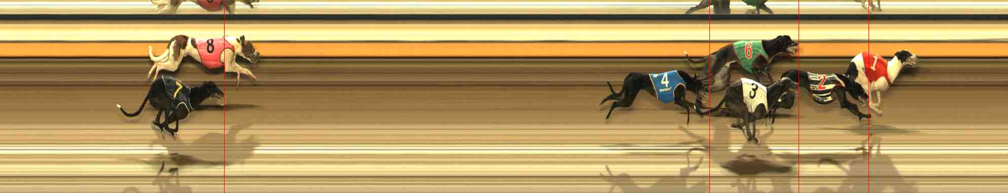 Photo finish for Warrnambool Race 5