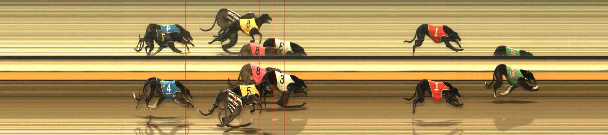 Photo finish for Warrnambool Race 6