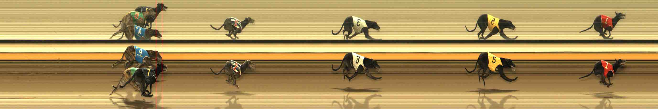 Photo finish for Warrnambool Race 7
