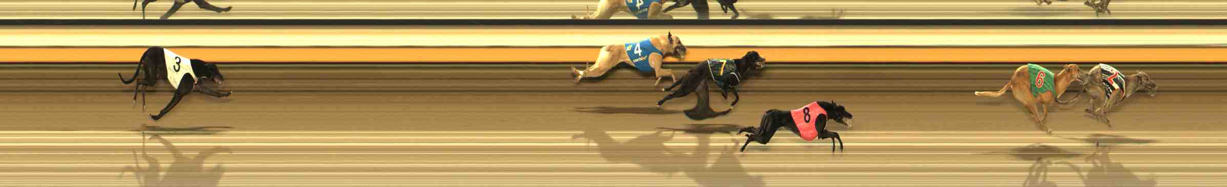 Photo finish for Warrnambool Race 8