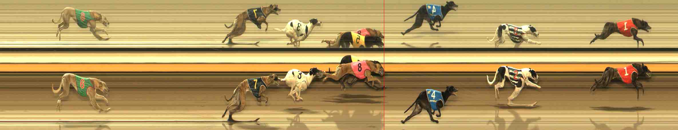 Photo finish for Warrnambool Race 9