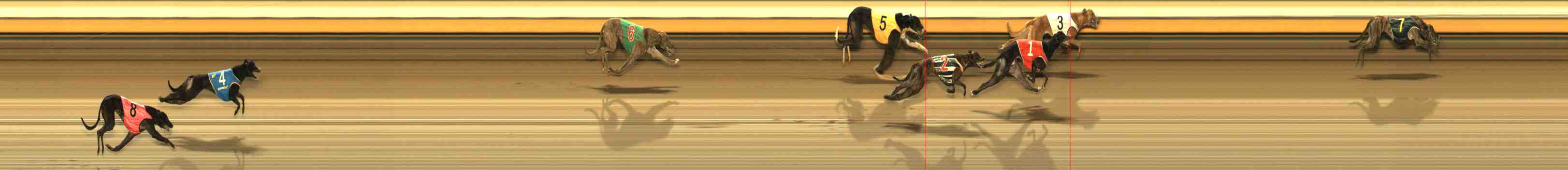 Photo finish for Warrnambool Race 10