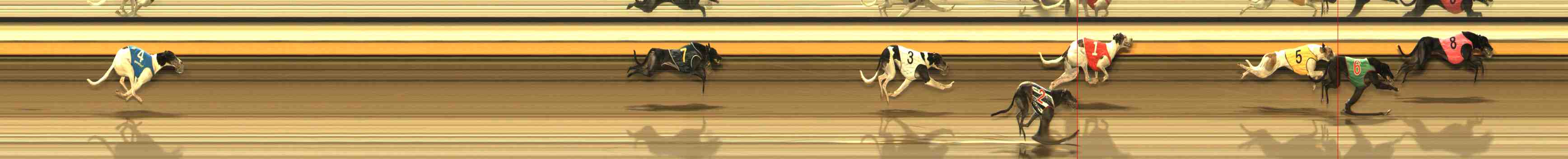 Photo finish for Warrnambool Race 11