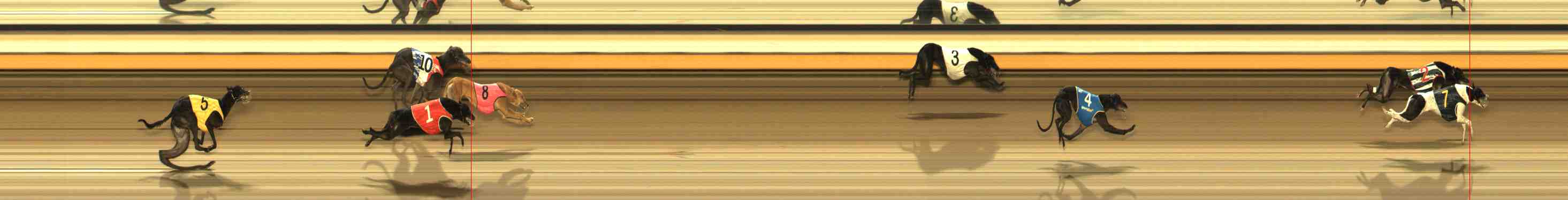 Photo finish for Warrnambool Race 12