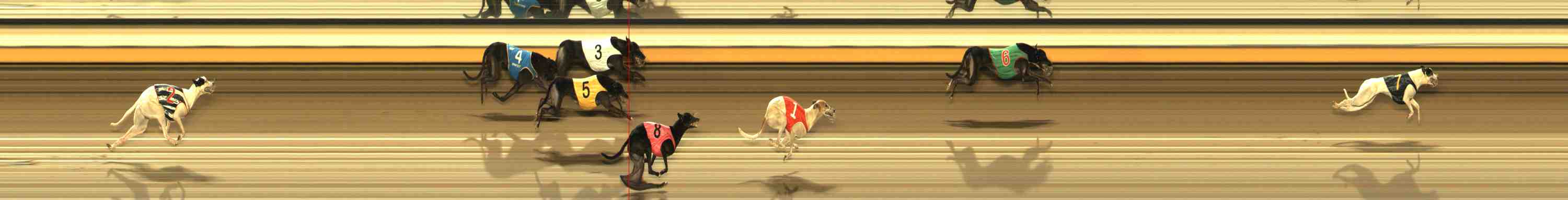 Photo finish for Warrnambool Race 13